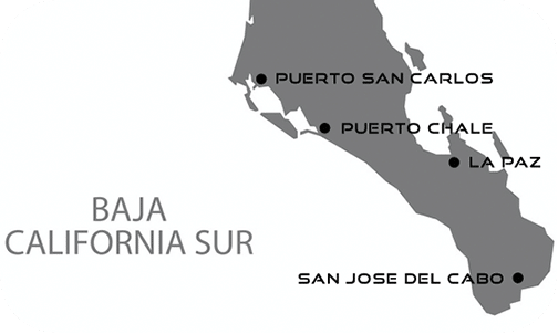 Baja Sur Map