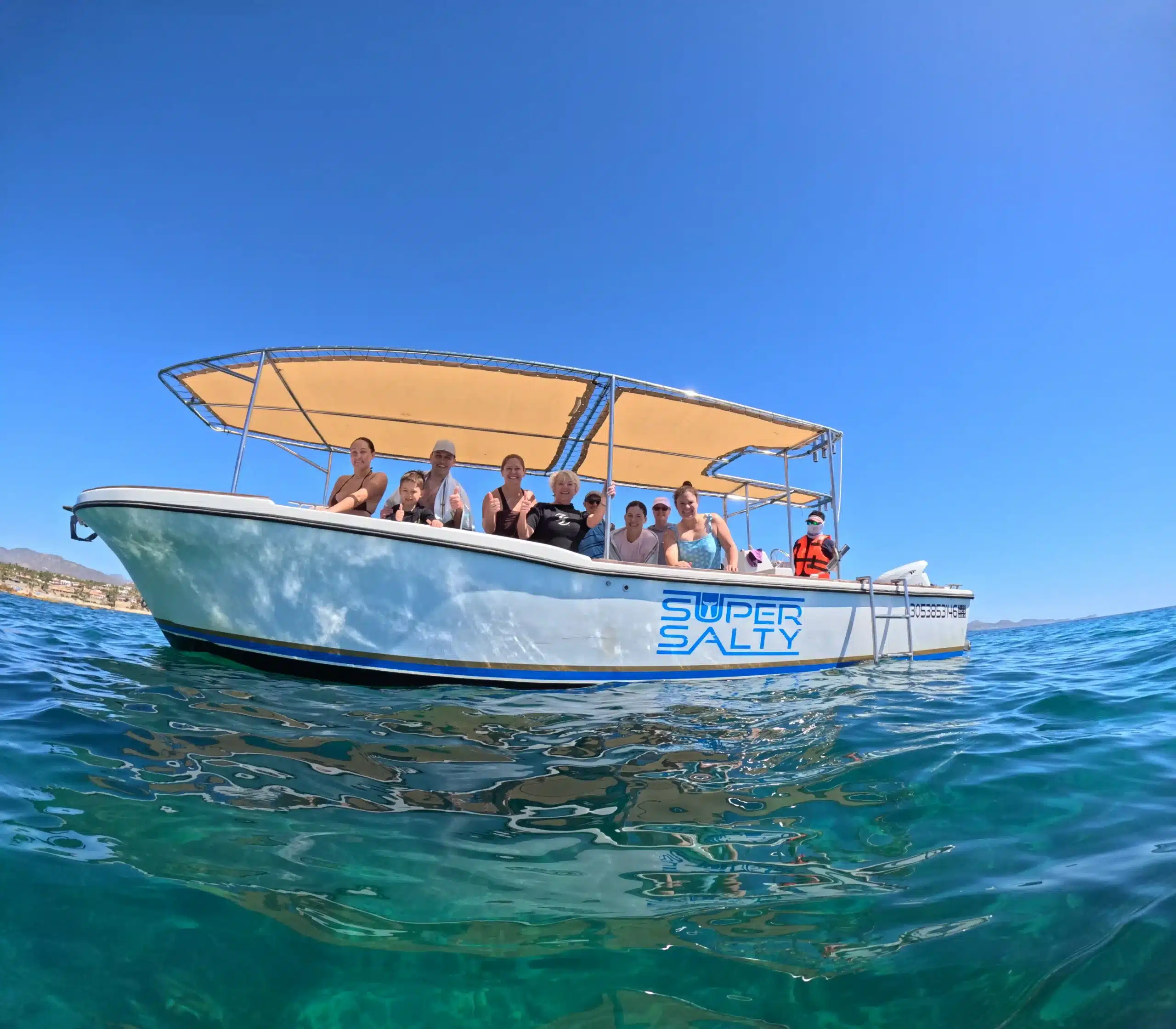 Marine life highlights during the best snorkeling san jose cabo months