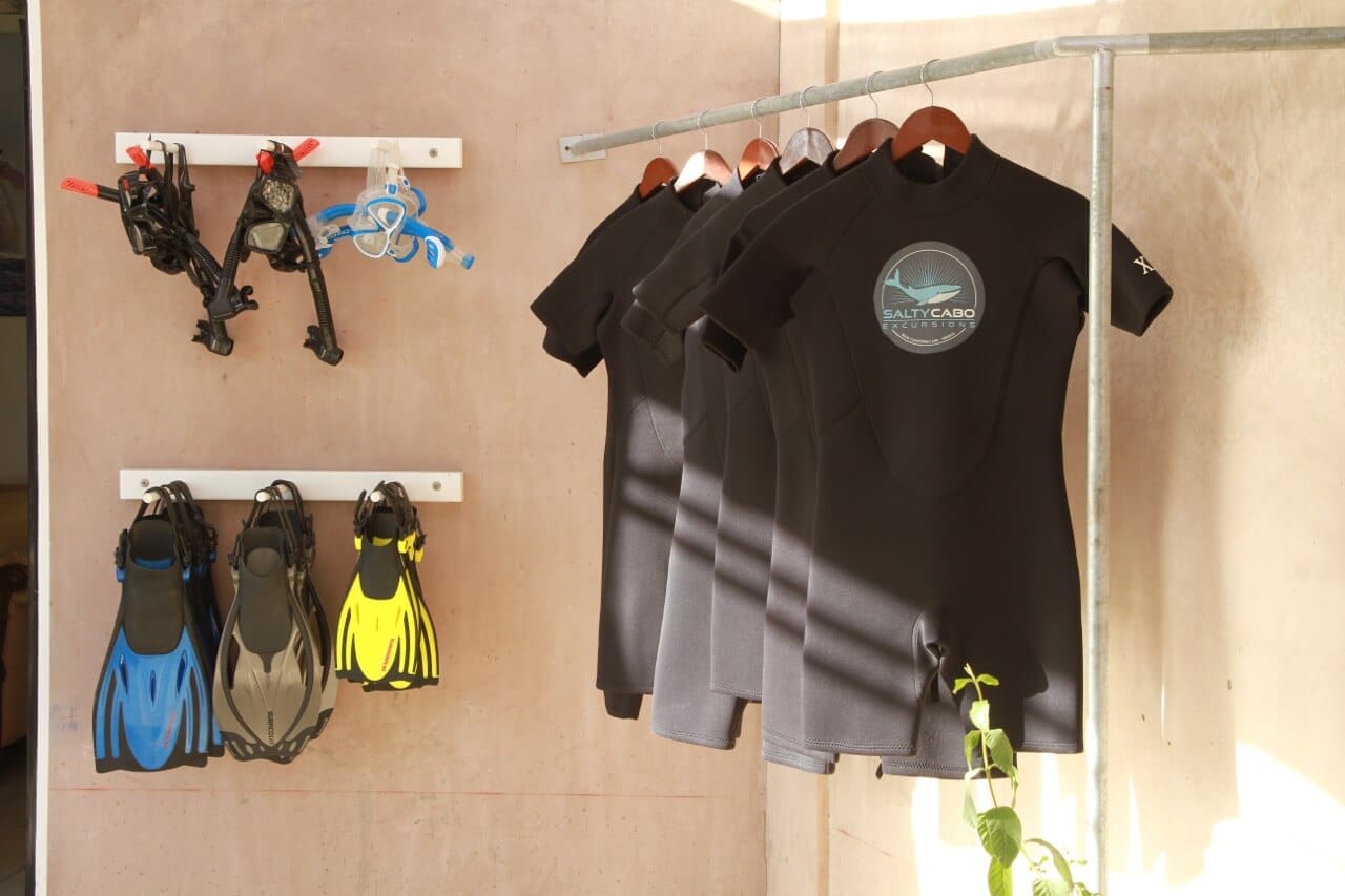 Snorkeling gear for all sizes Cabo Azul Resort