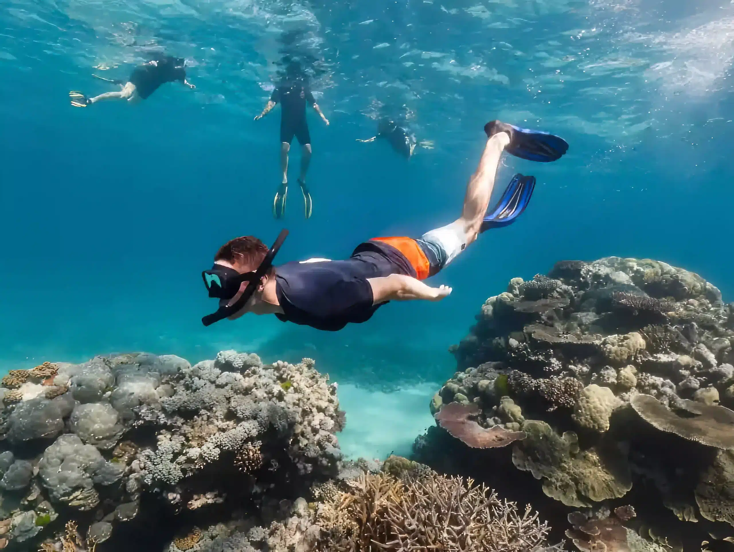 Cabo Azul Resort snorkeling tour safe for families