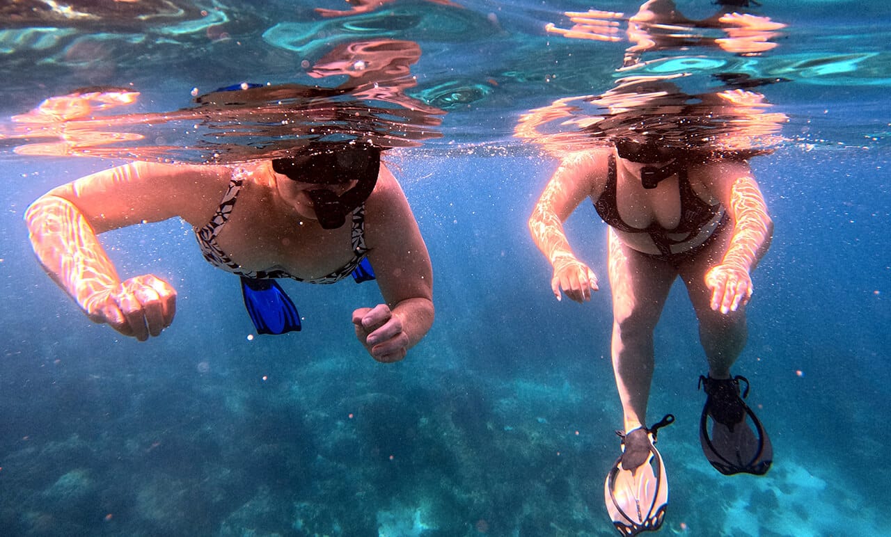 Snorkeling with sea turtles in San José del Cabo