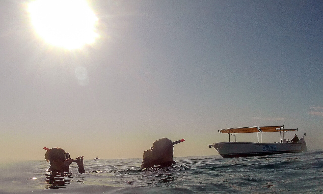 Morning snorkeling in Cabo