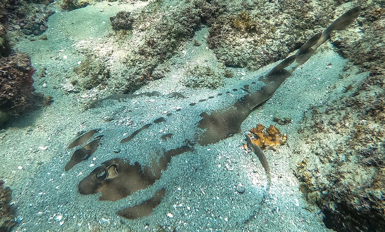 San Jos&eacute; del Cabo snorkeling map coastline