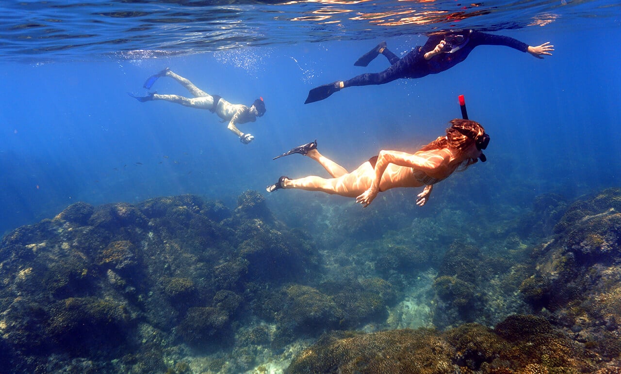 Hidden snorkeling spot in San Jos&eacute; del Cabo
