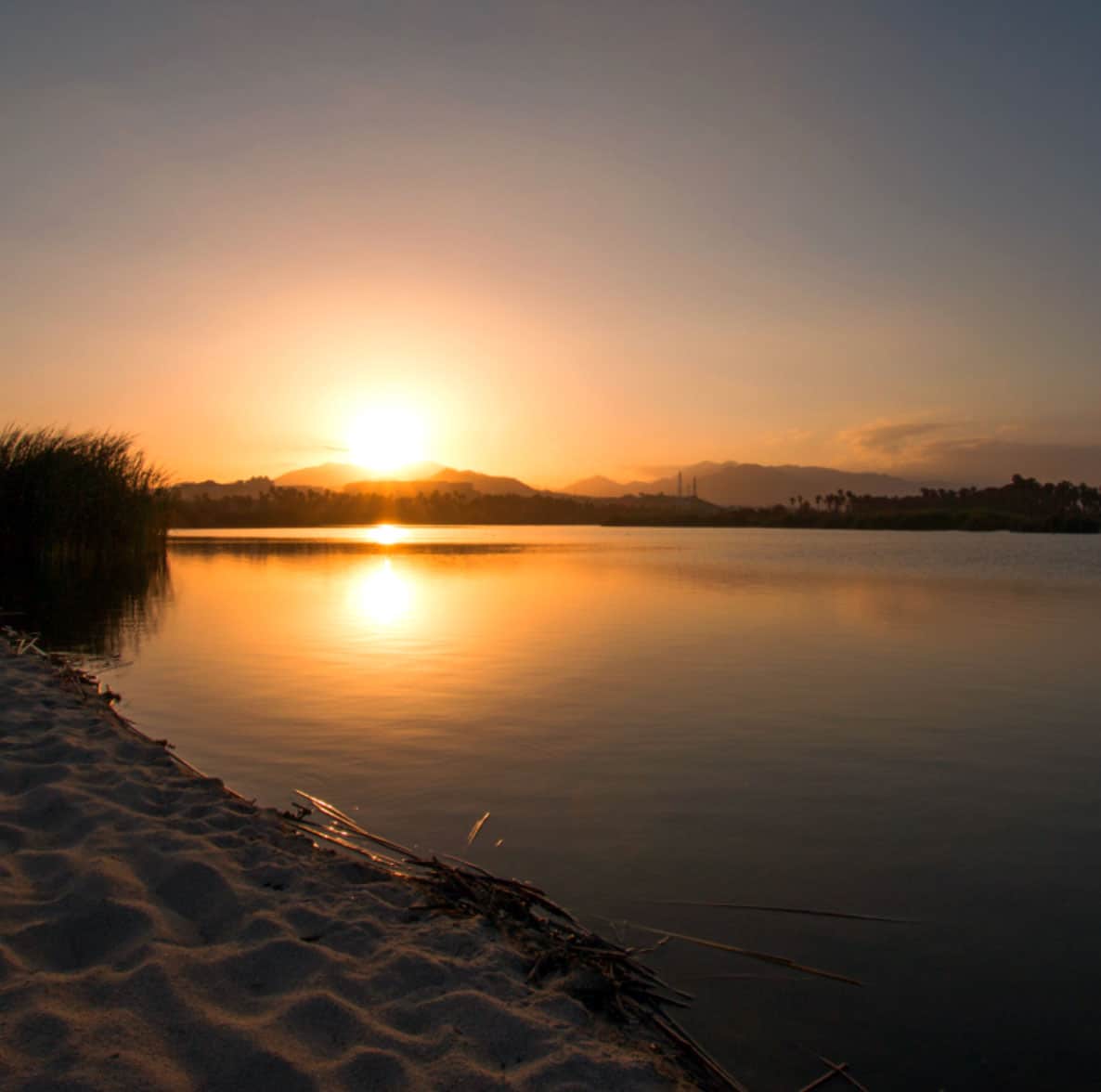 Estuary edge trail with birds and mirror water at sunset in San Jos&eacute; del Cabo
