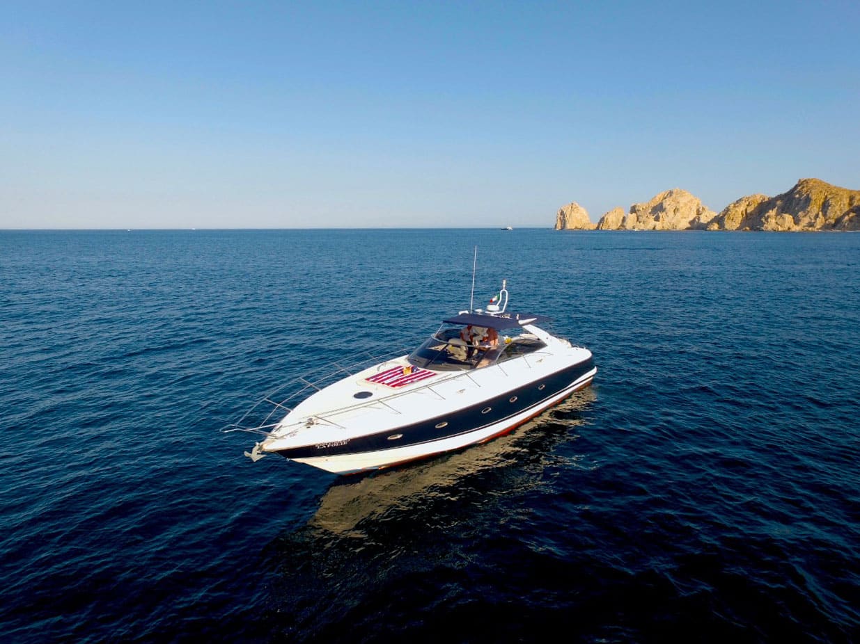 Luxury yacht whale watching Secrets Puerto Los Cabos