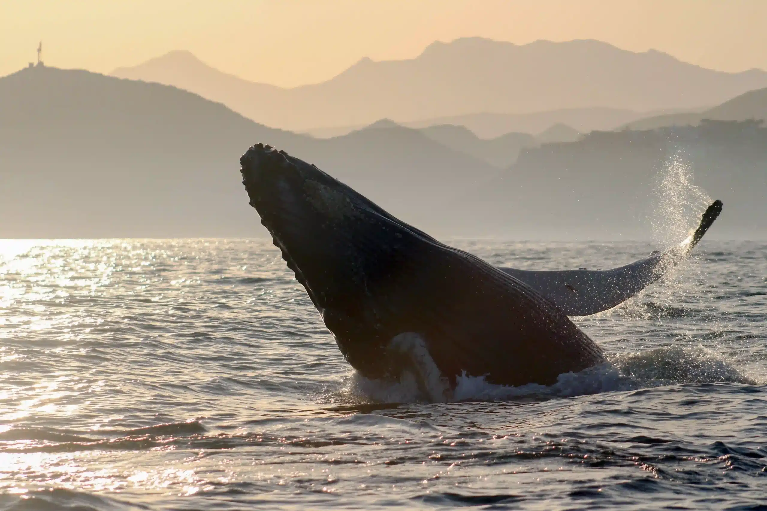 Best sunset spots San Jos&eacute; del Cabo &ndash; friends on sunset cruise