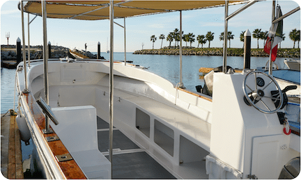 Small Boat Whale Watching Tour Cabo