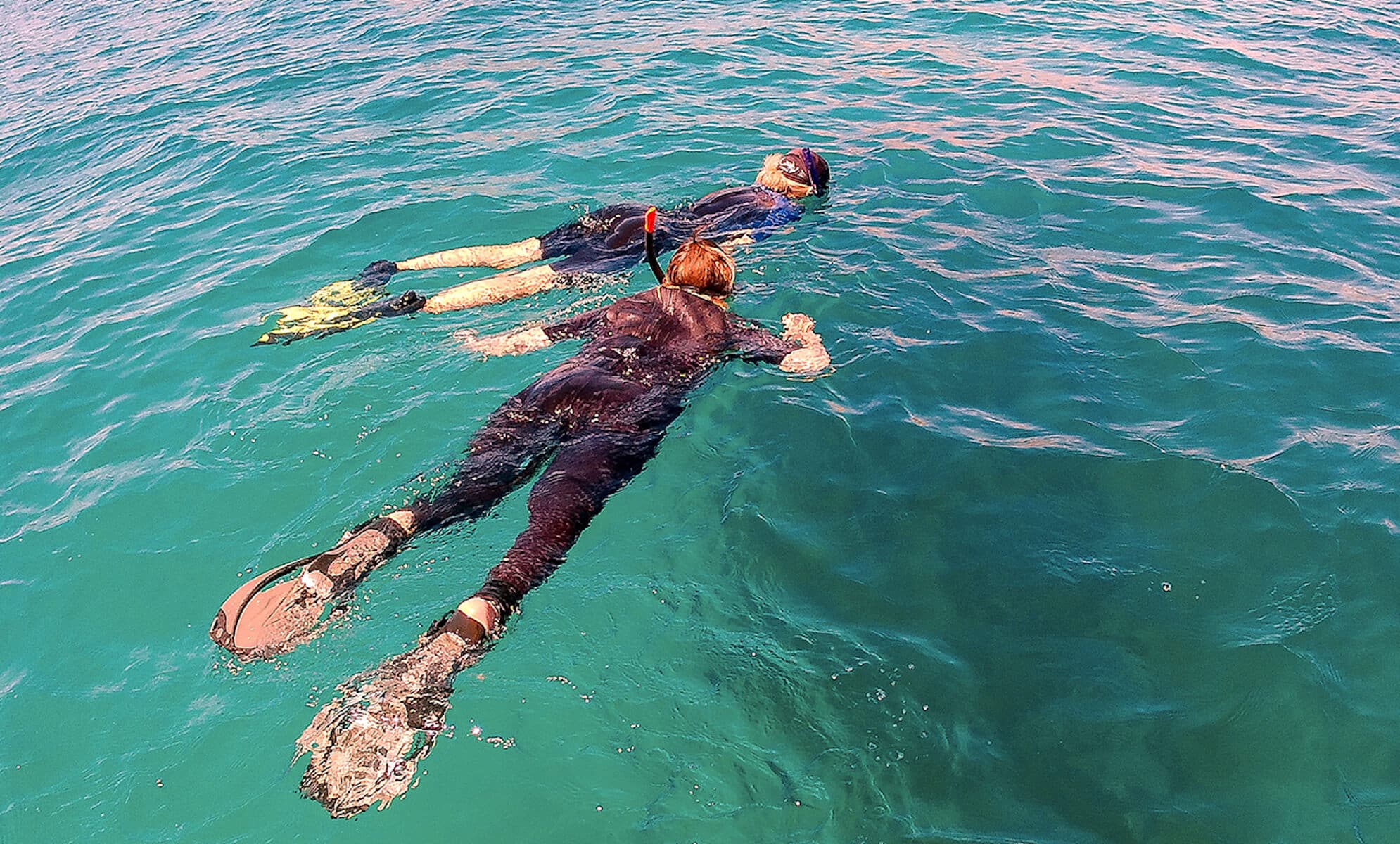 Snorkeling Baja California Sur during combo whale and reef tour