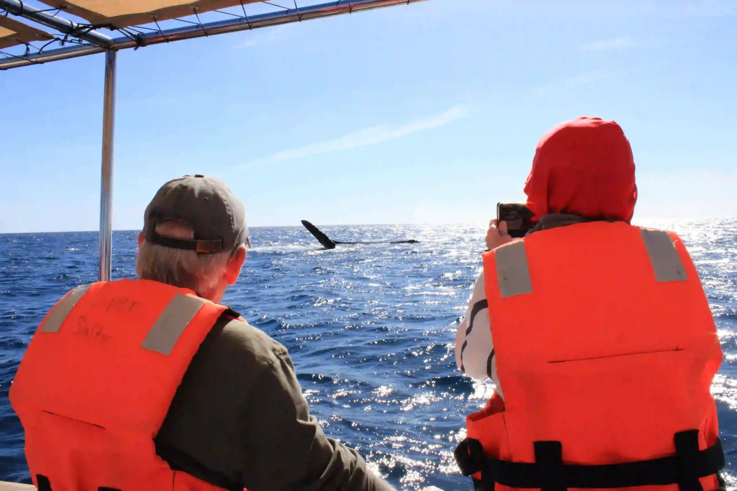 Guests prepared for whale watching San Jos&eacute; del Cabo