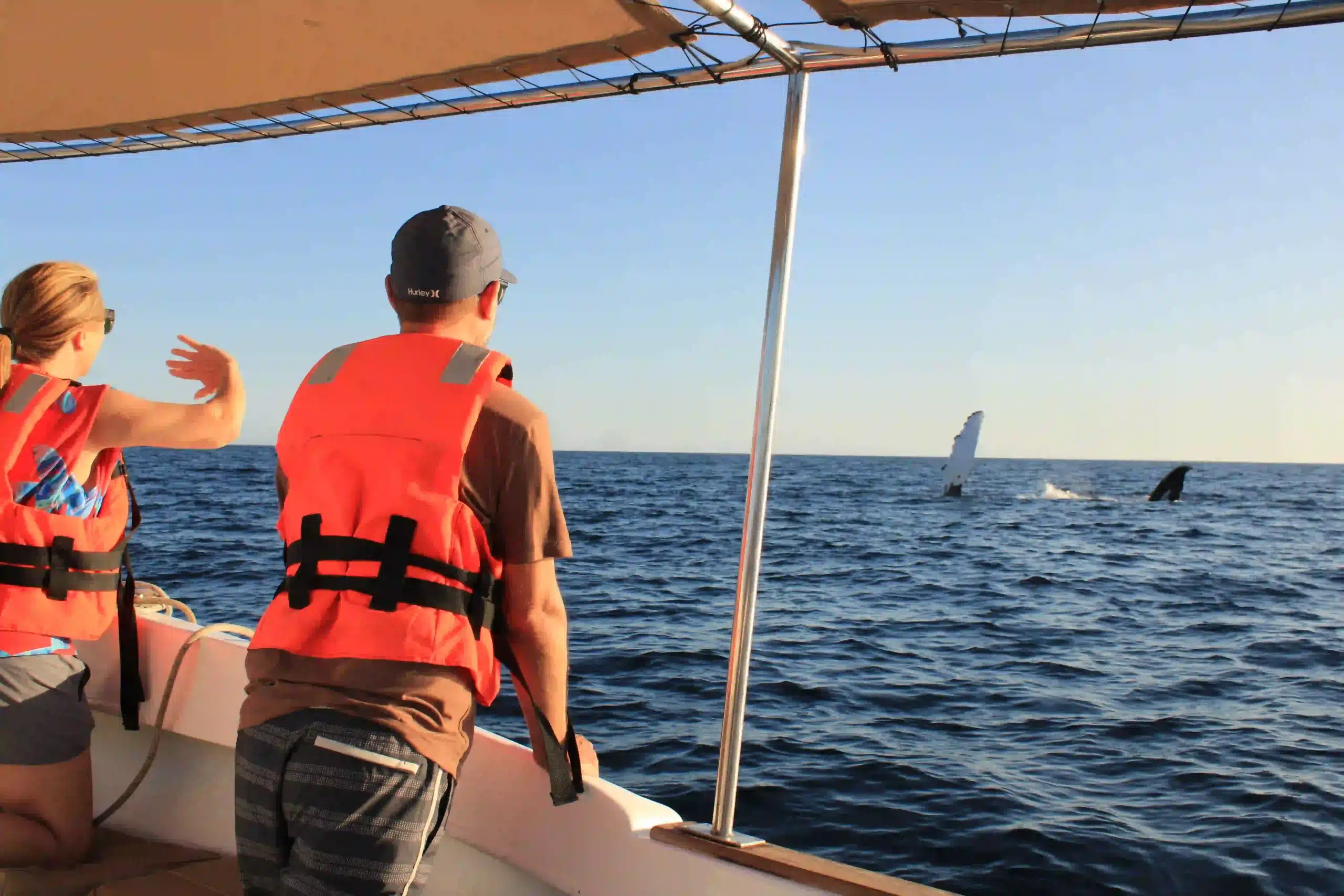Couple watching whale fluke in Best Whale Watching Los Cabos Mexico