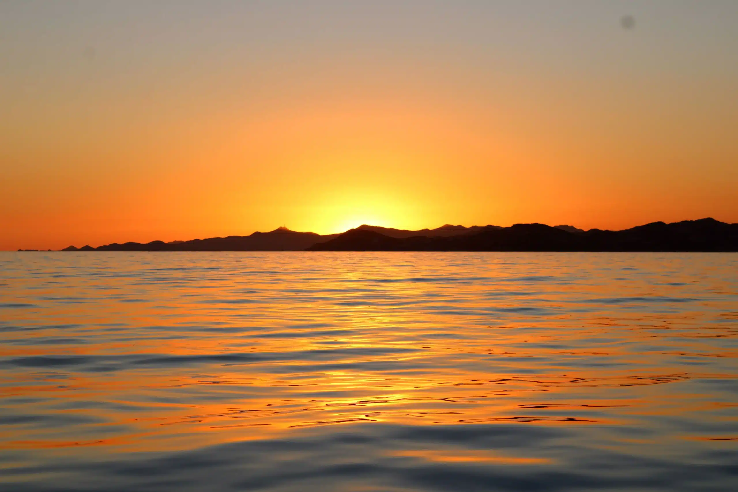 Cabo Sunset Cruises for Families Banner