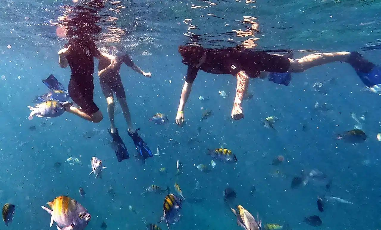 Beginner snorkeling in Cabo Mexico &ndash; woman floating above reef with fish