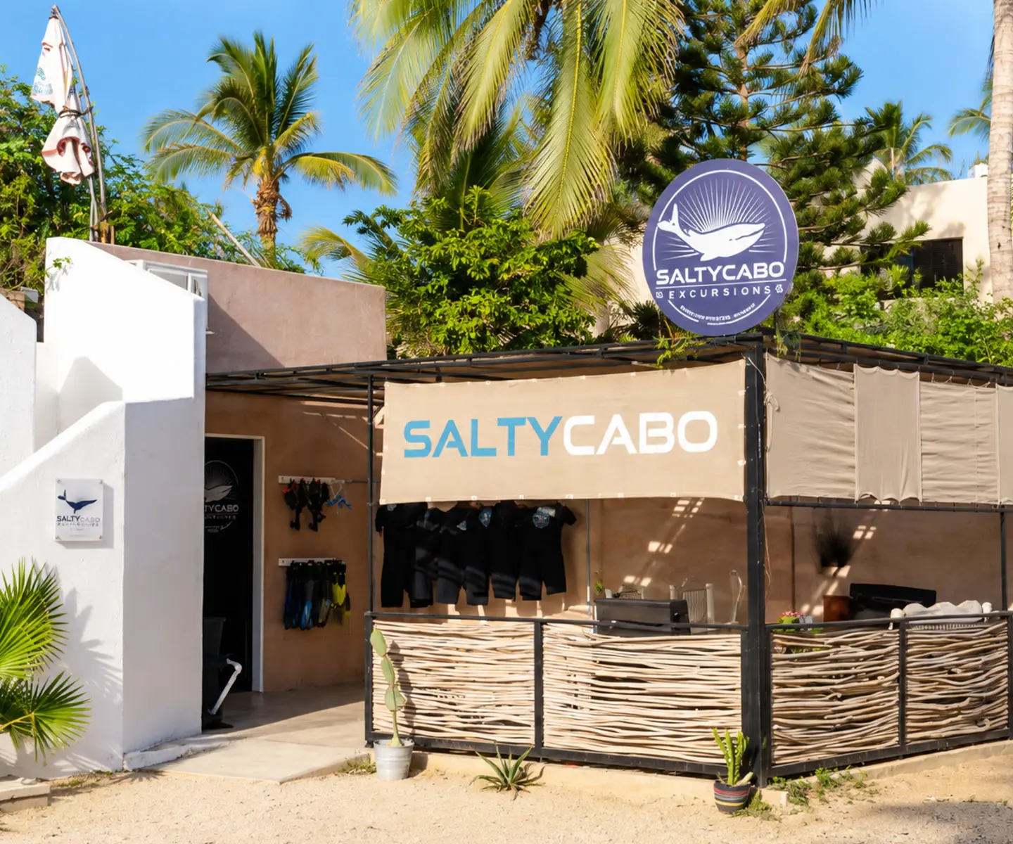 Entrance to the Salty Cabo Excursions office at Marina Puerto Los Cabos in San José del Cabo, surrounded by tropical palm trees, with snorkeling equipment and the Salty Cabo sign visible.