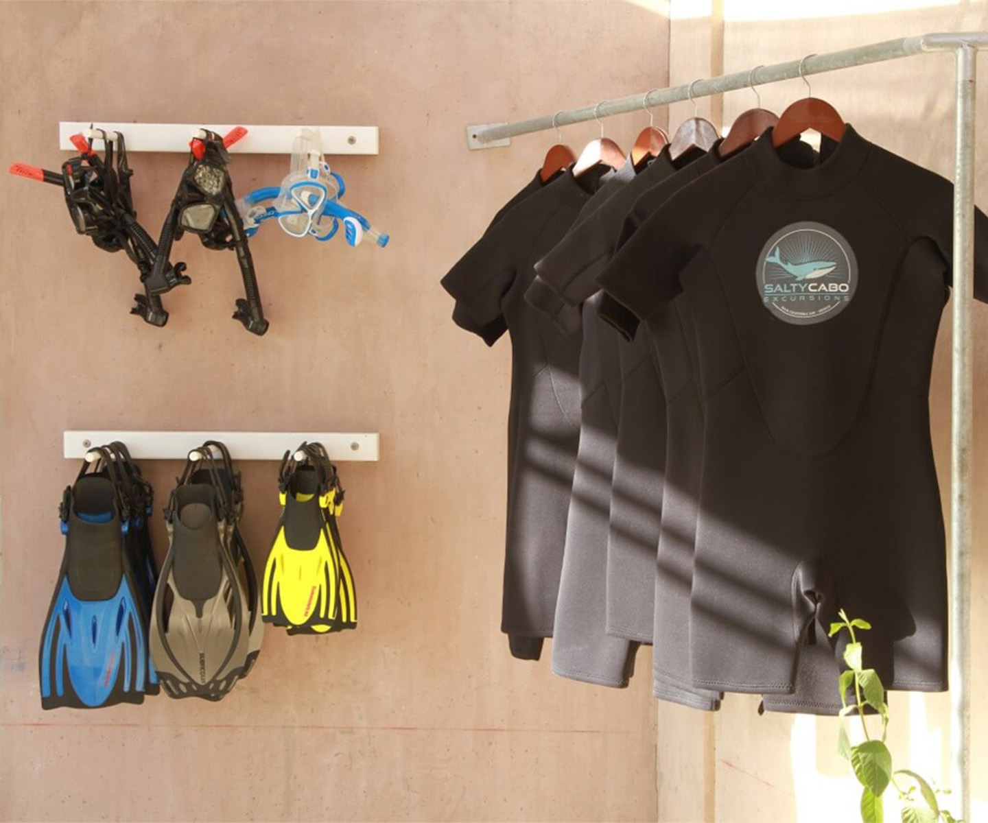 Snorkeling Equipment & Wetsuits – Salty Cabo Excursions xl
