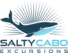 Experience the best San Jose del Cabo tours with Salty Cabo Excursions.